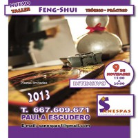 /album/talleres-anteriores-en-sanespas/a11-taller-nov-fenfshui-jpg/